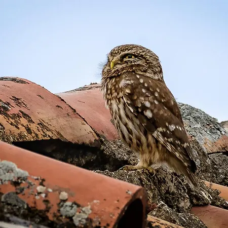 Taleton Eco Alojamento de Acomodação e Pequeno-almoço Xirokampi