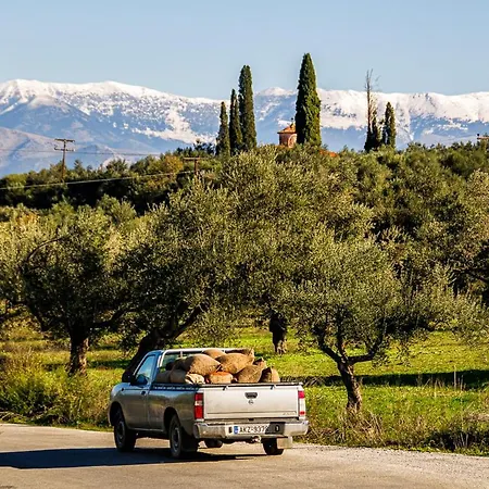 Taleton Eco Alojamento de Acomodação e Pequeno-almoço 4*