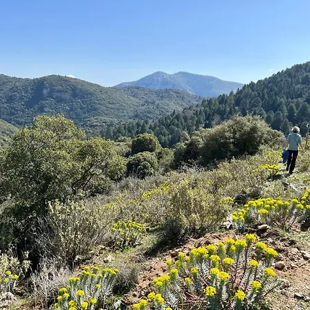 Frühstückspension Taleton Eco Xirokampi