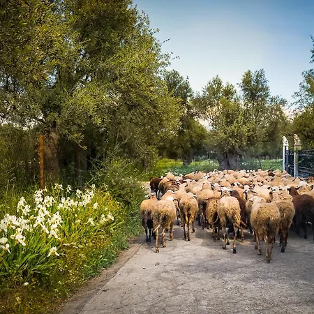 Taleton Eco Frühstückspension 4*