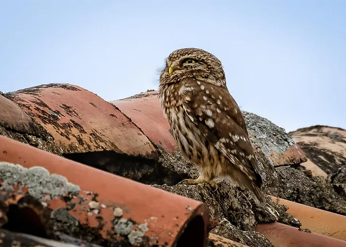 Taleton Eco Отель типа 