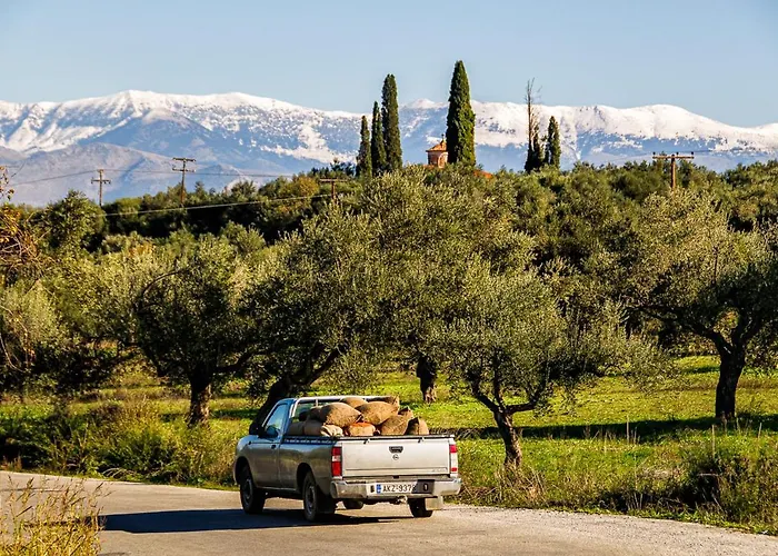 Taleton Eco Bed & Breakfast 4*