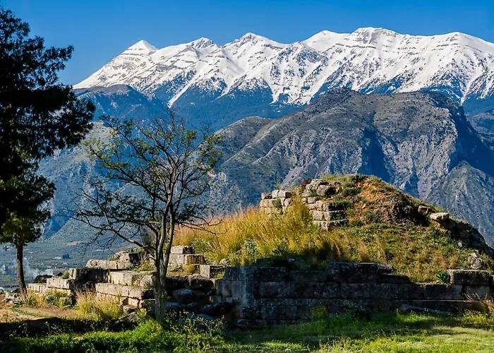 Taleton Eco Отель типа 