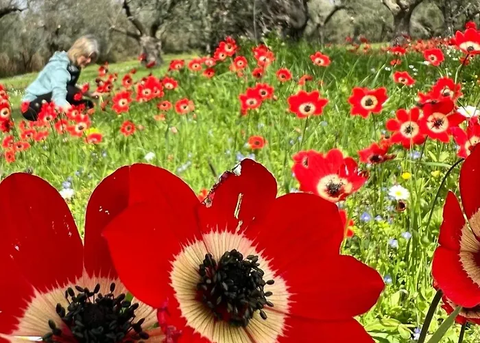 Bed & Breakfast Taleton Eco