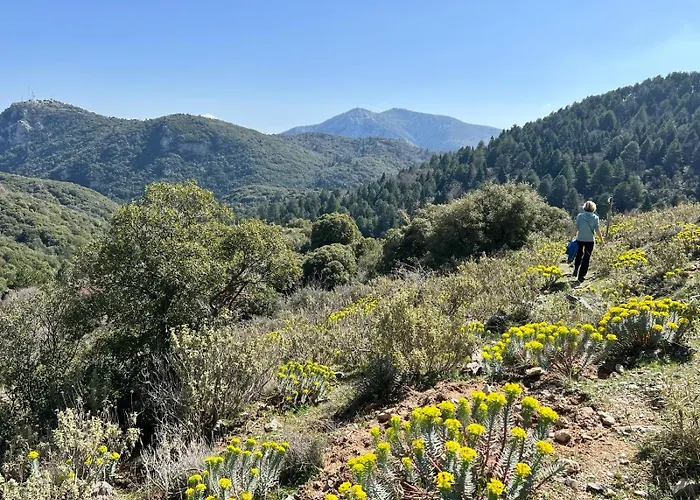 Frühstückspension Taleton Eco Xirokampi