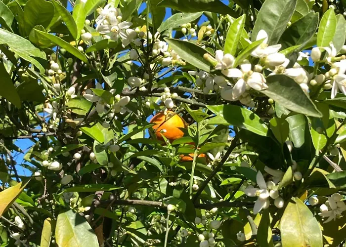 Taleton Eco Bed & Breakfast