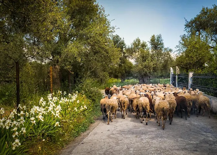 Taleton Eco Bed & Breakfast 4*