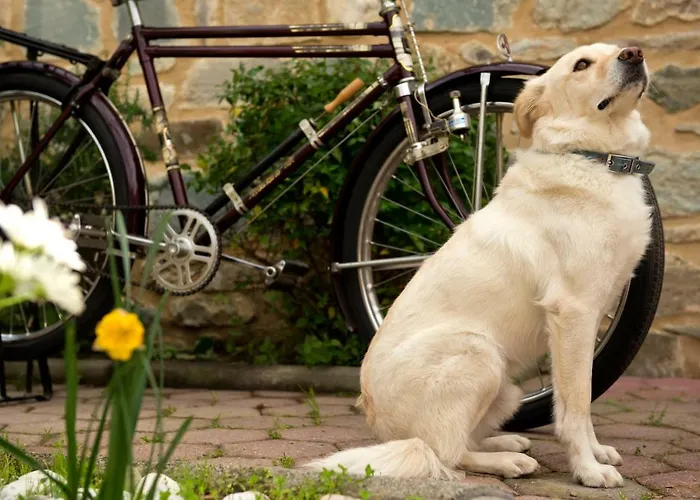 Bed & Breakfast Taleton Eco 4*