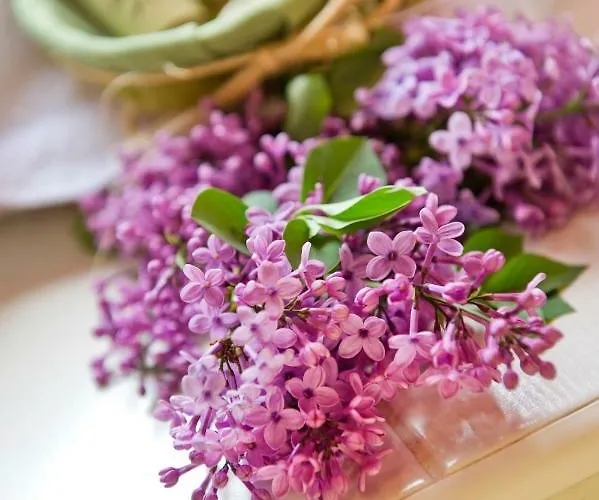 Frühstückspension Taleton Eco